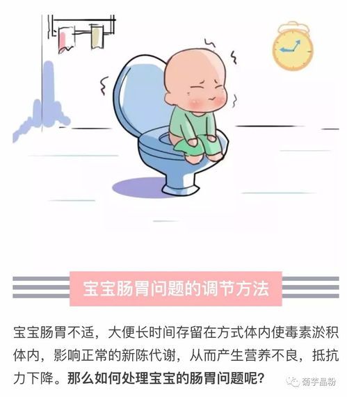 宠物腹泻便秘、消化不良、口臭，选对营养调理关键！
