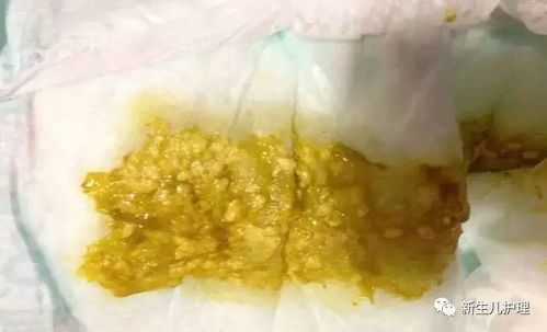 宠物腹泻便秘、消化不良、口臭，选对营养调理关键！
