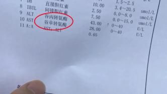 宠物转氨酶高,科学调理指南