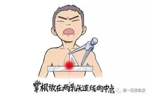 宠物咳嗽一月,掌握急救技巧