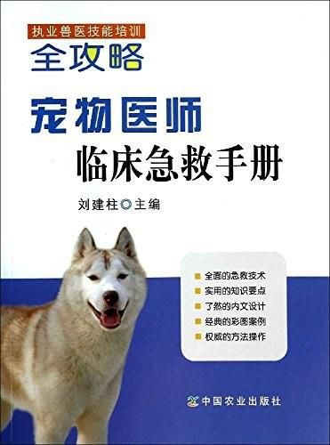 宠物抽搐急救指南，宠物医生支招