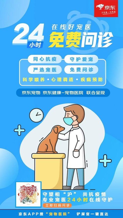 宠物抽搐急救指南，宠物医生支招