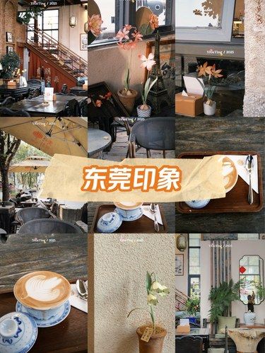 安静的角落，春天已来临