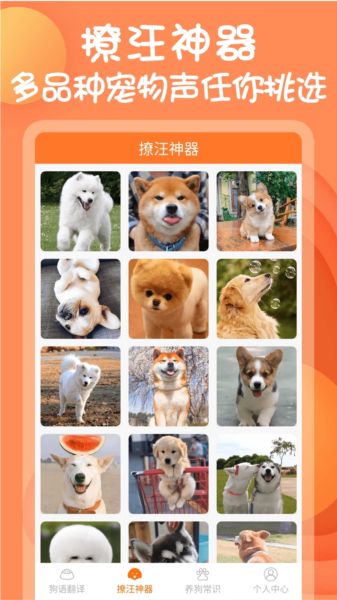 小铃铛狗语翻译器