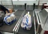 鸡西宠物托运 宠物托运公司电话