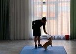 鸡西训犬学校 宠物服务专家