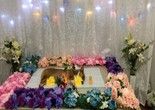 长沙岳麓宠物火化 狗狗去世 宠物殡葬-24小时服务