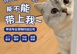 长沙本地宠物托运猫狗柴犬金毛活体运输