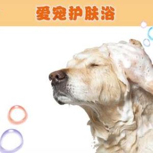 宠物护肤浴（犬）