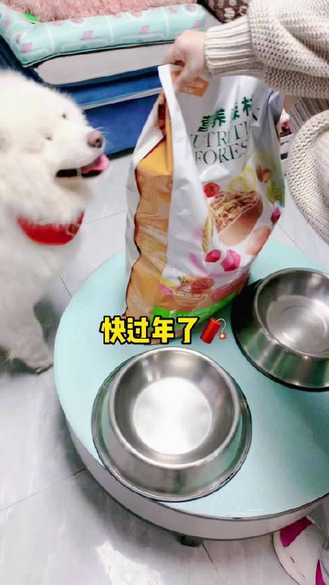 家有萌宠 这款狗粮我家兄妹俩是真爱吃,有肉有蛋有果蔬……