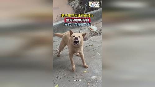 男子将芥末涂在树枝上，整治凶狠的狗狗，网友：结局很舒服