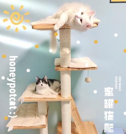 猫咪庭院猫爬架哪个好？如何选择适合的猫爬架？