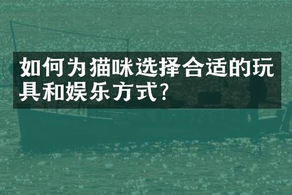 如何为猫咪选择合适的玩具和娱乐方式？