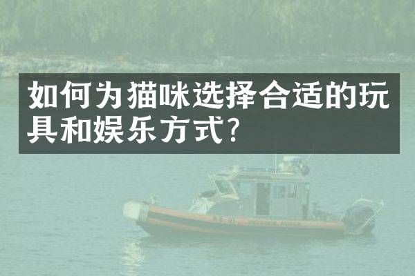 如何为猫咪选择合适的玩具和娱乐方式？