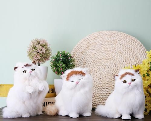 猫咪为什么喜欢玩偶（探究猫咪与玩偶间的关系）