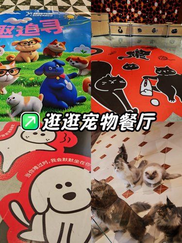 五角场有家宠物餐厅很好逛