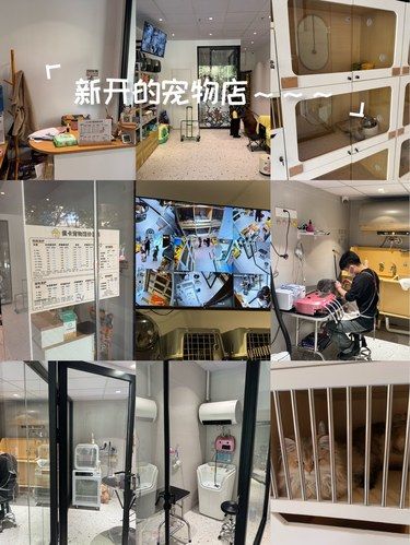 打卡新开张的宠物店[笑脸][笑脸]