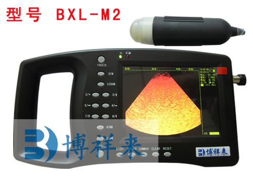 猪用B超检查天气和营养对母猪卵泡的影响 