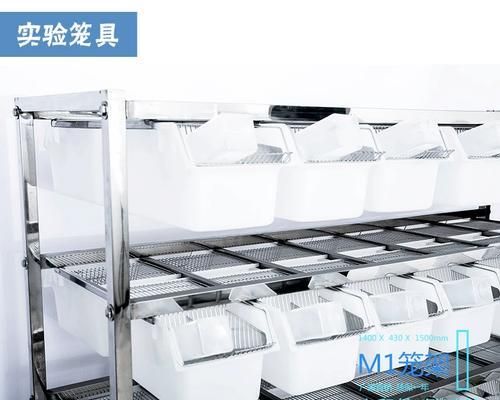 如何科学地饲养白老鼠？（从饲养环境到营养搭配，全面了解白老鼠的养殖秘籍。）