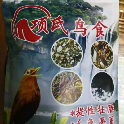 “宠物画眉鸟专用饲料，营养全面！”