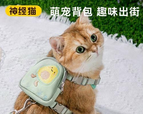 猫咪第一次生产怎么办？需要准备哪些东西？