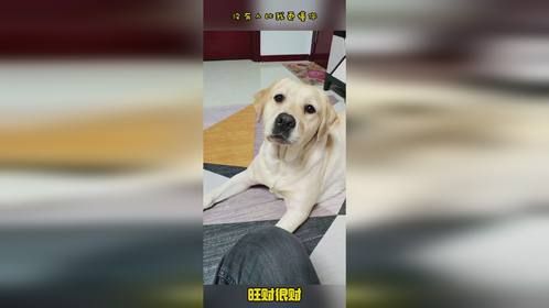 没有人比我更懂你