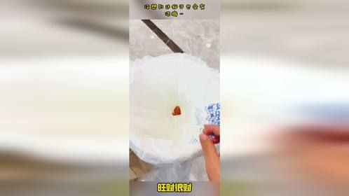 没想到这狗子也会有洁癖…