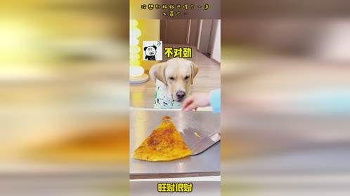 没想到被狗子摆了一道，大意了…