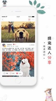 宠物生活指南:养宠秘籍,延长寿命,推荐宝典