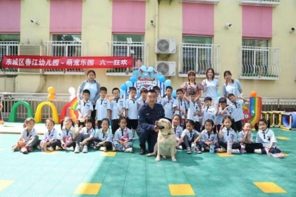 宠物幼稚园的奇幻冒险
