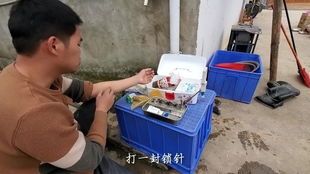 宠物被蛇咬，如何急救与预防？