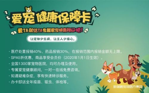 宠物健康先行,预防胜于治疗