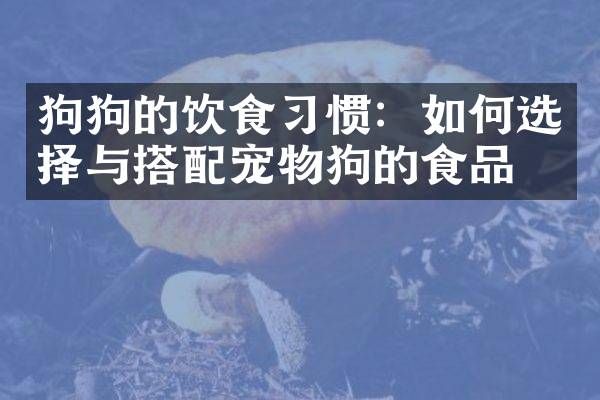 狗狗的饮食习惯：如何选择与搭配宠物狗的食品？