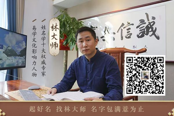 柴犬名字大全 顺口的霸气大全