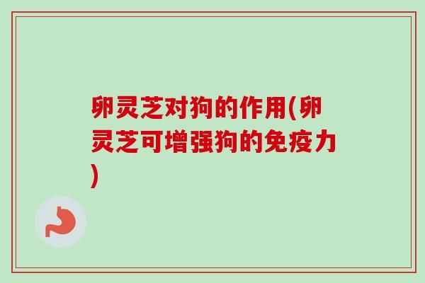 卵灵芝对狗的作用(卵灵芝可增强狗的免疫力)-第1张图片-卓越灵芝孢子粉