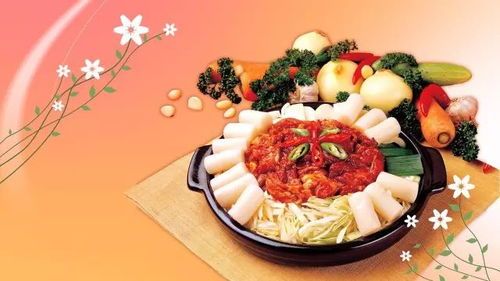 “宠物食谱:犬瘟克星美食”