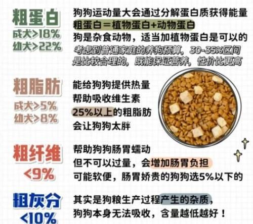 如何挑选优质狗粮？挑选优质狗粮的小技巧（了解狗粮成分，为宠物健康做出明智选择）