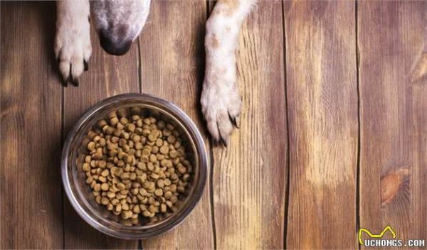 怎么挑选出优质的犬粮，犬粮界的“武林秘笈”你看过吗？