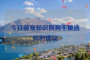 今日萌宠知识狗狗干粮选购的建议