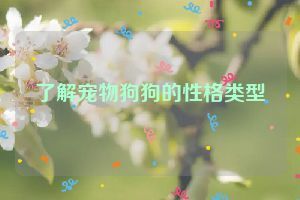 了解宠物狗狗的性格类型