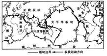 宠物成长地理差异探秘