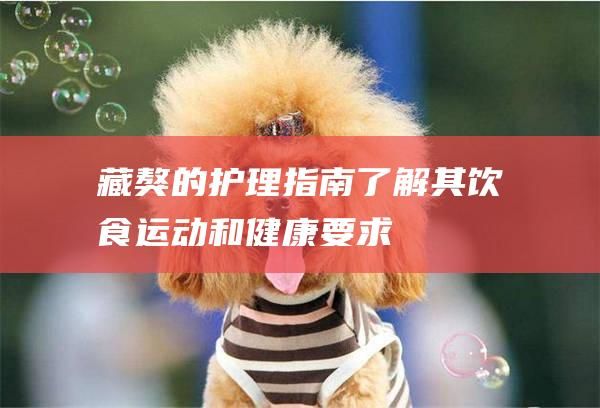 藏獒的护理指南了解其饮食运动和健康要求