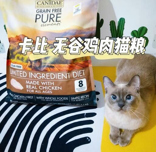 2025 年进口猫粮推荐:五款安全又适口的猫粮品牌排行榜