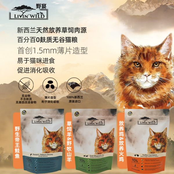 2025 年进口猫粮推荐:五款安全又适口的猫粮品牌排行榜