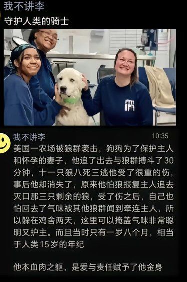 等等，你狗叔还没来‼️