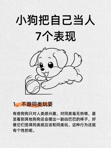 家有萌宠，你会发现它们越来越像“小人儿”！