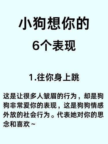 狗狗做这种事说明它很想你！