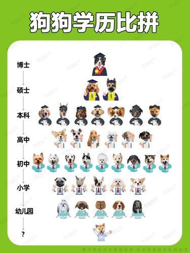 狗狗智商大揭秘，你家宝贝排第几？