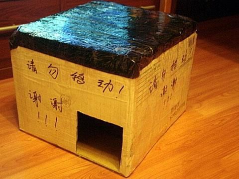 各种猫窝，总有一款适合