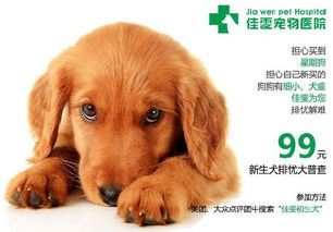宠物细小病毒防控,守护健康无忧。